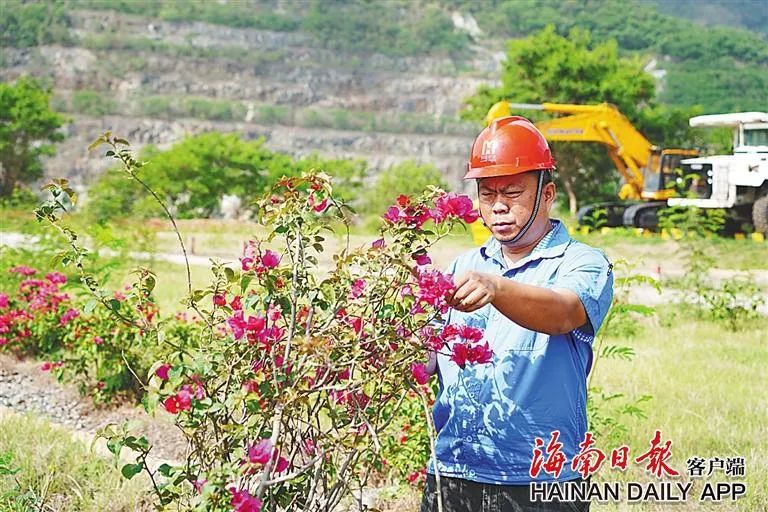 海南這座礦山，為何這么綠？4.jpg