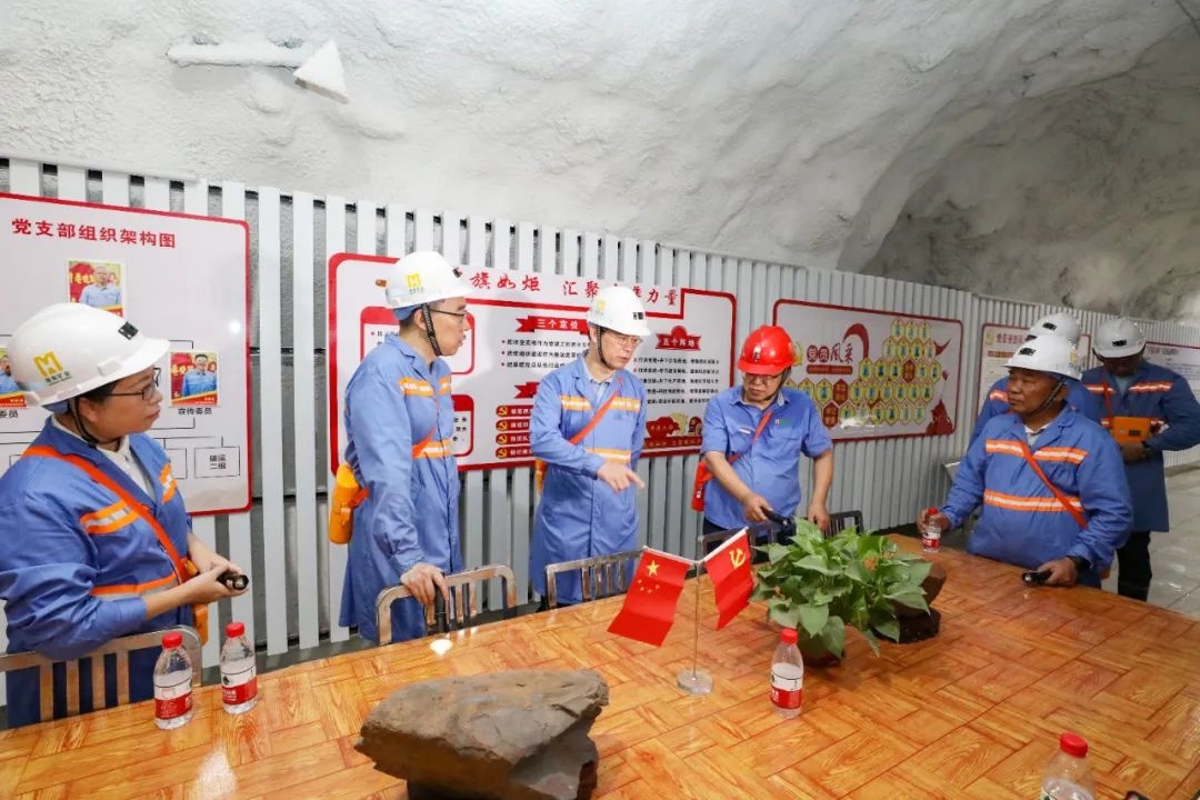 昌江縣委書(shū)記陳儒茂到海南礦業(yè)調(diào)研2_副本.jpg
