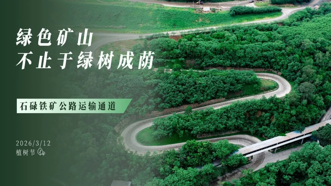 植樹節(jié) | 綠色礦山，不止于綠樹成蔭